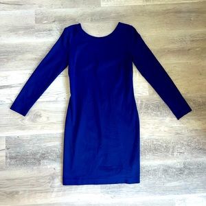 Banana Republic royal blue zip back dress
